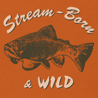 Fly fishing t shirt design with brook trout and text.