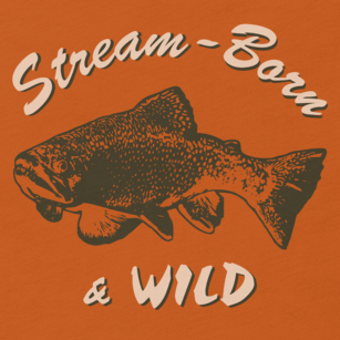 Fly fishing t shirt design with brook trout and text.